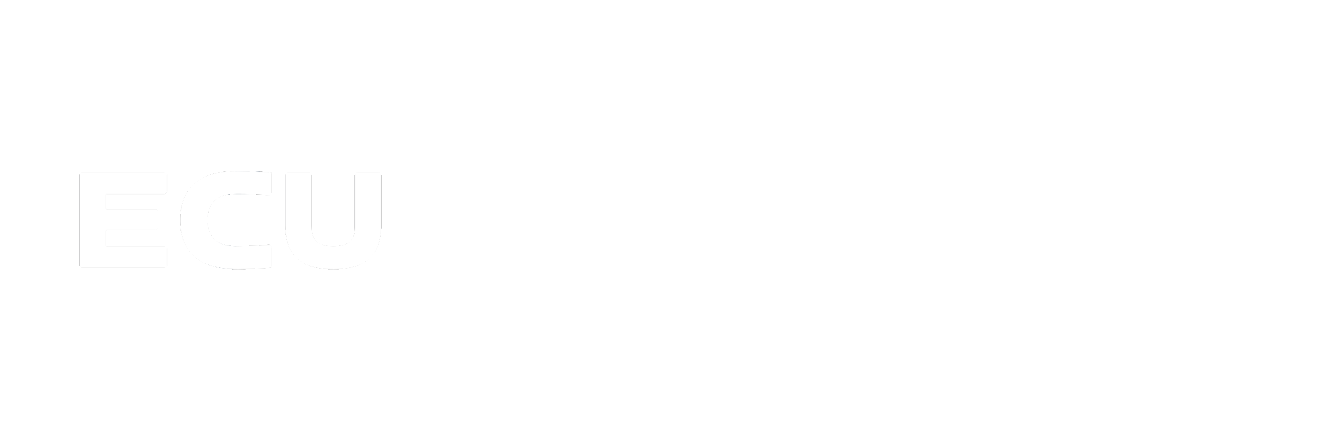 ECU Testing & Repairs